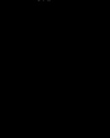AMER5.TIF