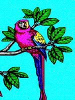 PARROT.BMP
