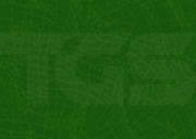 green.jpg