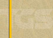 Tan-gold.JPG