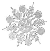 036Y_1C.EPS