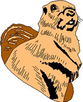 GRNDHOG.WMF
