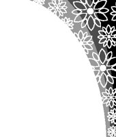 12325413_1A.EPS