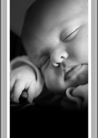 12325493_1A.EPS