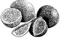 034Y_1B.EPS
