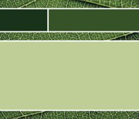 11686154_1A.EPS