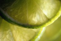 10567982.JPG