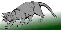 1021856.PCX