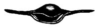 1050839.PCX