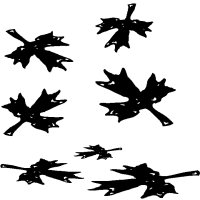 NWAGE765.BMP