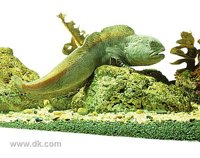 95003337[1].jpg