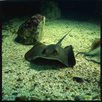 95000404[1].jpg