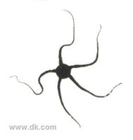 964258[1].jpg