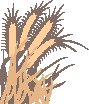 WHEAT2 EPS.eps