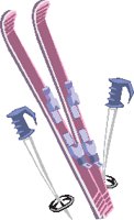 SKIEQUIP EPS.eps