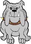 BULLDOG PICT.pct