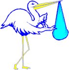 STORK2 PICT.pct