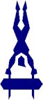 GYMNAST3 PICT.pct