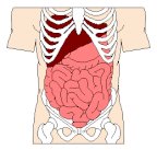 INTERNAL PICT.pct
