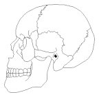 SKULSIDE PICT.pct