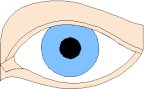 EYE PICT.pct