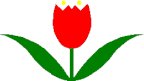 TULIP2 PICT.pct