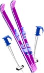 SKIEQUIP PICT.pct
