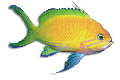 F427064.BMP