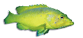 F427029.BMP