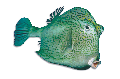 F427024.BMP