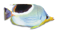 F209079.BMP