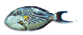 F209056.BMP