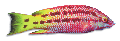 F209048.BMP