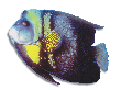 F209044.BMP