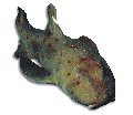 F209008.BMP