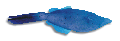 F209003.BMP