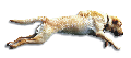 F771092.BMP