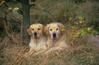 415053.JPG