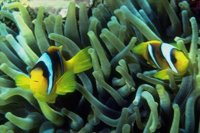 209051.JPG