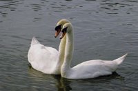 815074.JPG