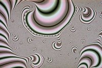 859038.JPG