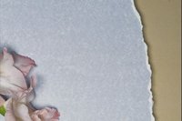 858007.JPG