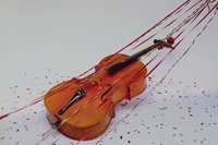 278027.JPG