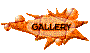 011w200g.gif
