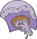 000803_1085_2827_vuvv.wmf
