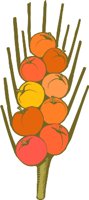000803_1080_6205_vuvv.wmf