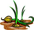 000803_1080_6354_vuvv.wmf