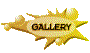 011w2027.gif