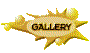 011w202n.gif