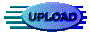 013v2010.gif